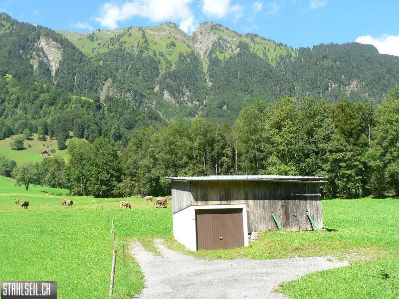 k-P1720997.JPG