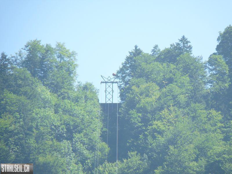 k-P1410332.JPG