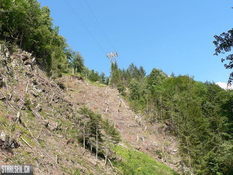k-P1710935.JPG