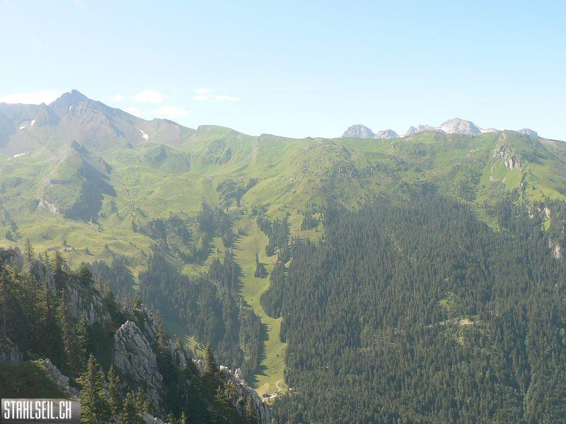 k-P1710433.JPG