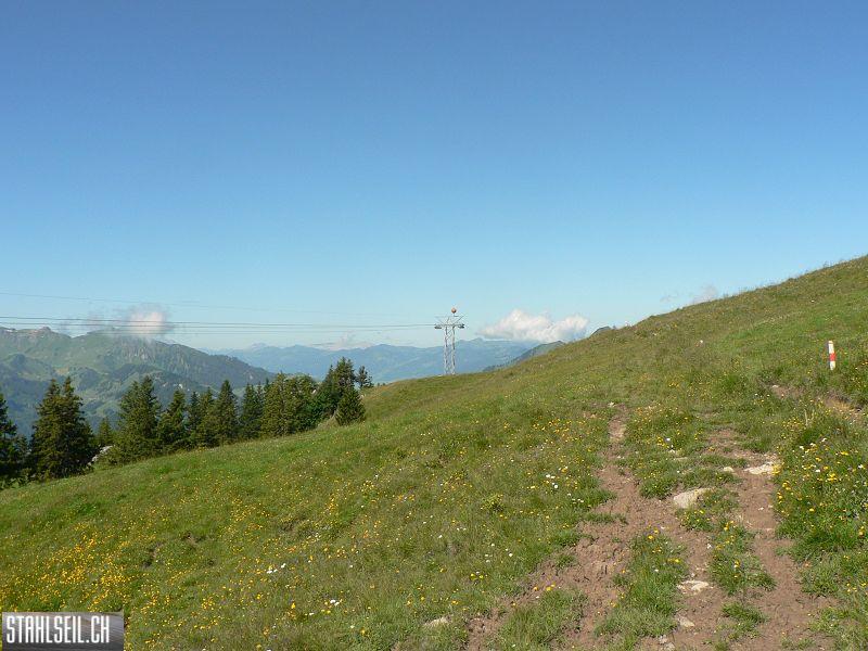 k-P1710441.JPG