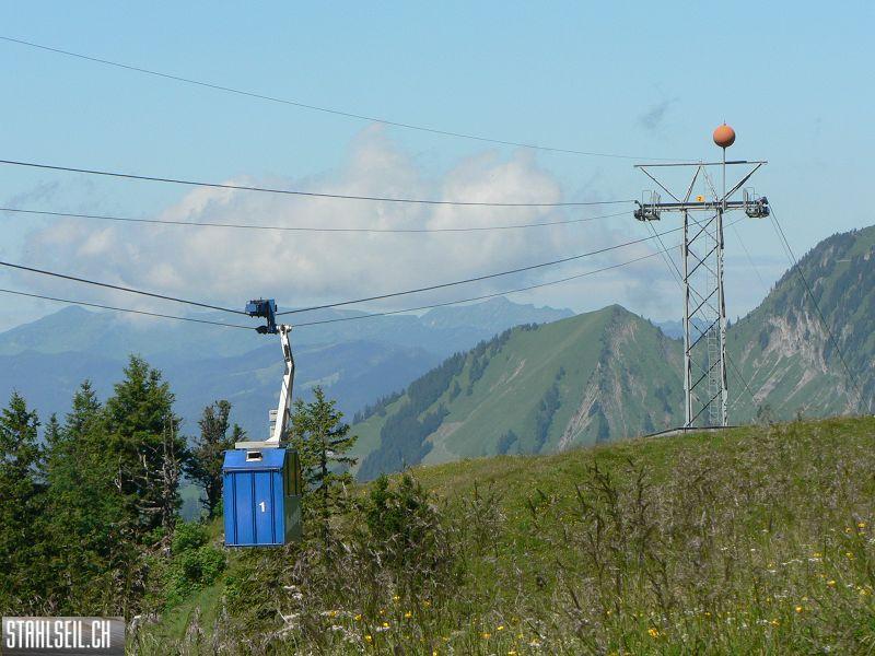 k-P1710512.JPG