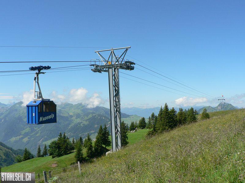 k-P1710547.JPG
