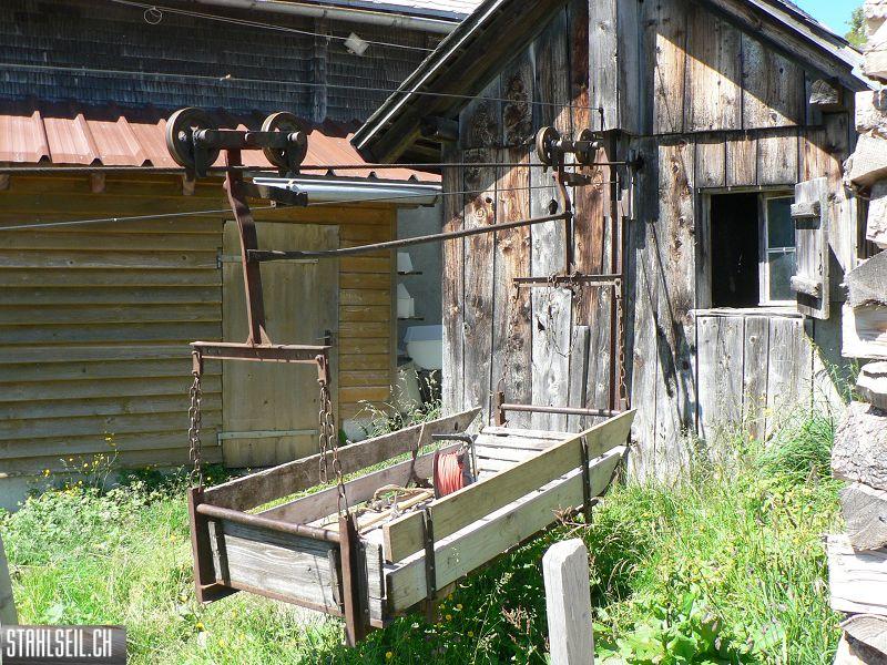 k-P1710553.JPG