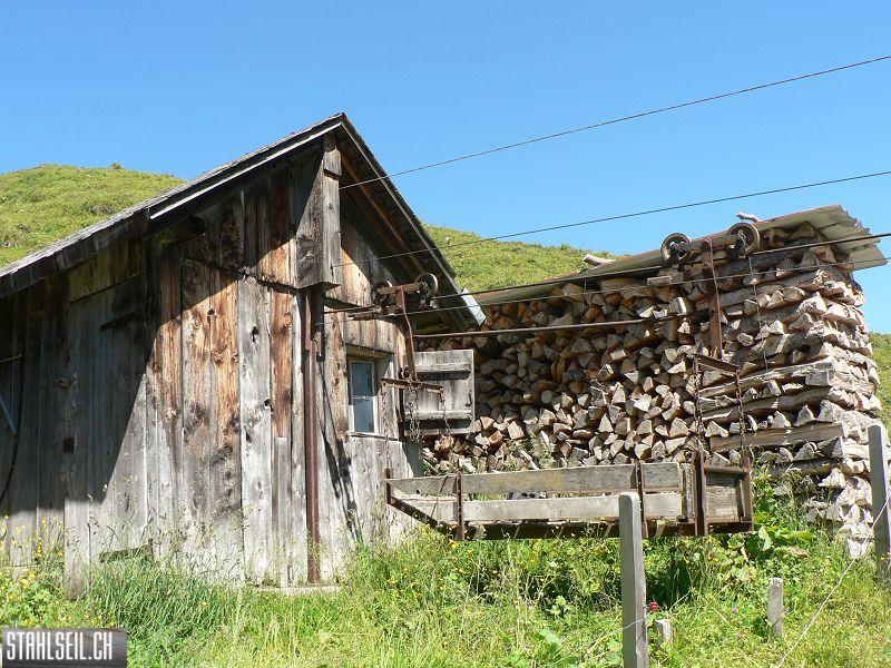 k-P1710554.JPG