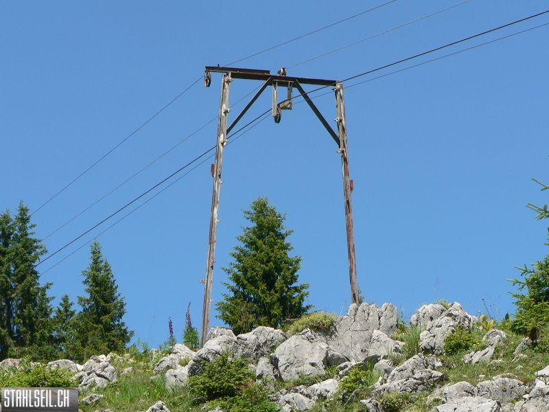 k-P1710562.JPG