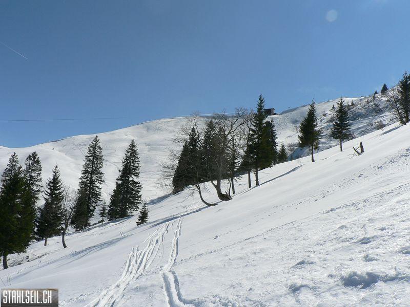 k-P1300586.JPG