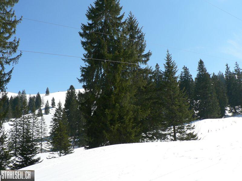 k-P1300592.JPG