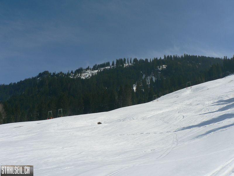 k-P1300631.JPG