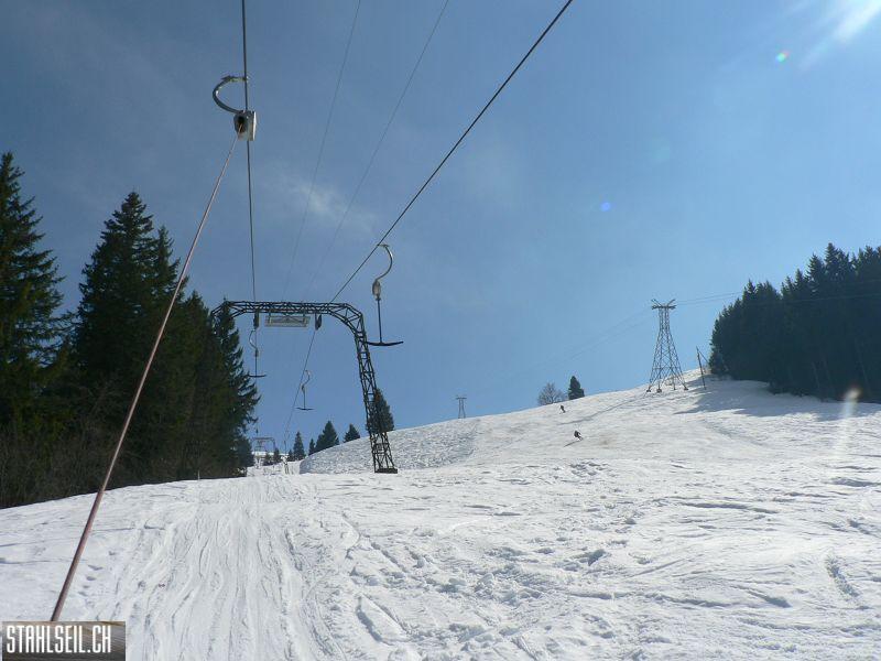 k-P1300640.JPG