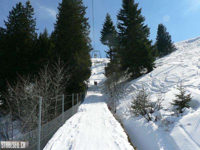 k-P1300650.JPG