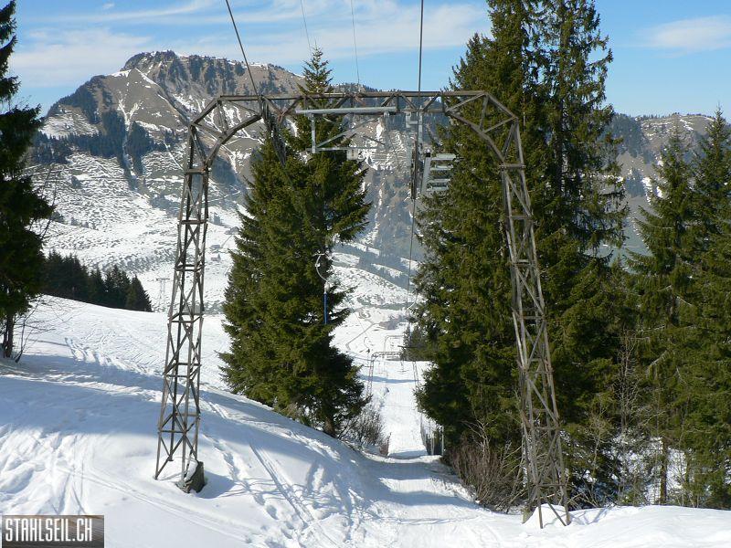 k-P1300654.JPG