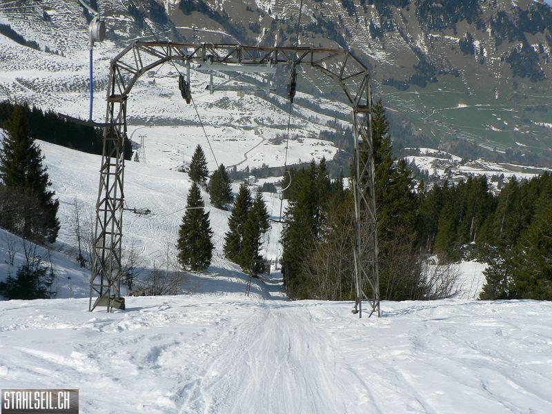 k-P1300658.JPG