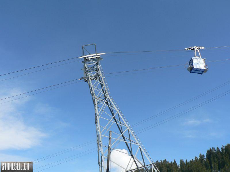 k-P1300699.JPG