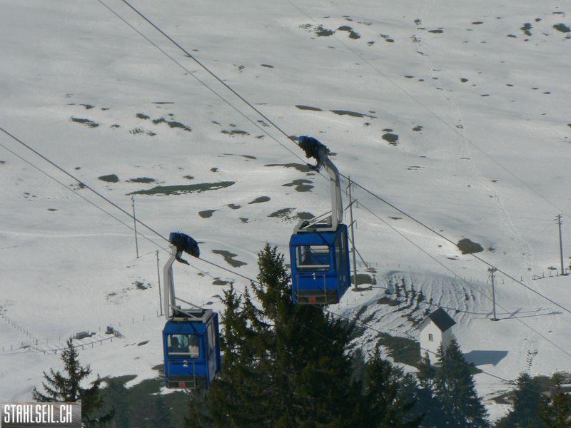 k-P1300702.JPG