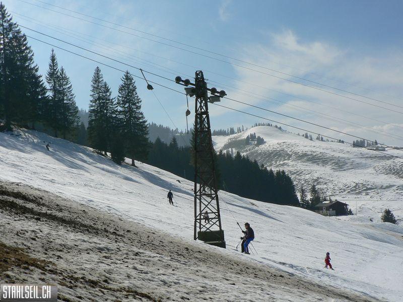 k-P1300736.JPG