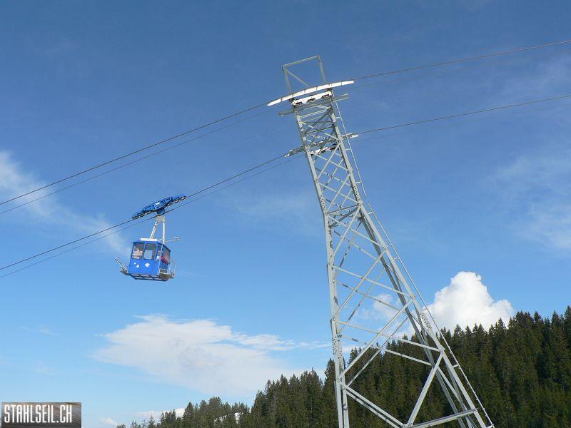 k-P1300779.JPG