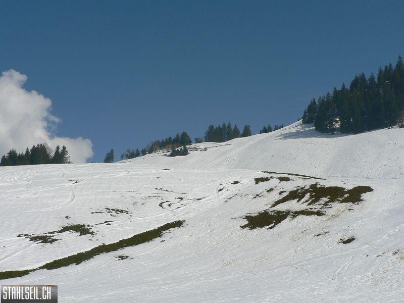 k-P1300805.JPG