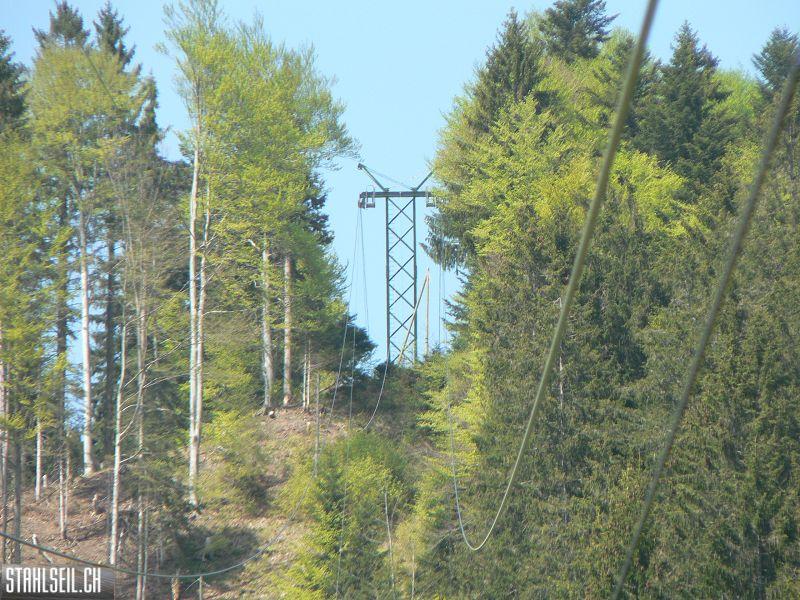 k-P1680688.JPG