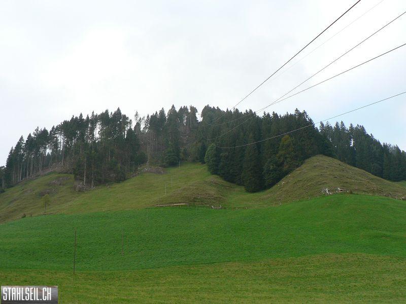 k-P1750457.JPG