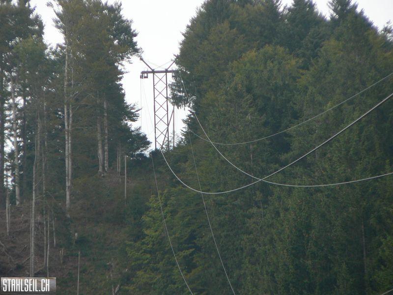 k-P1750458.JPG
