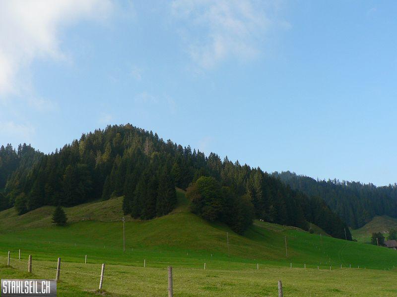 k-P1750462.JPG