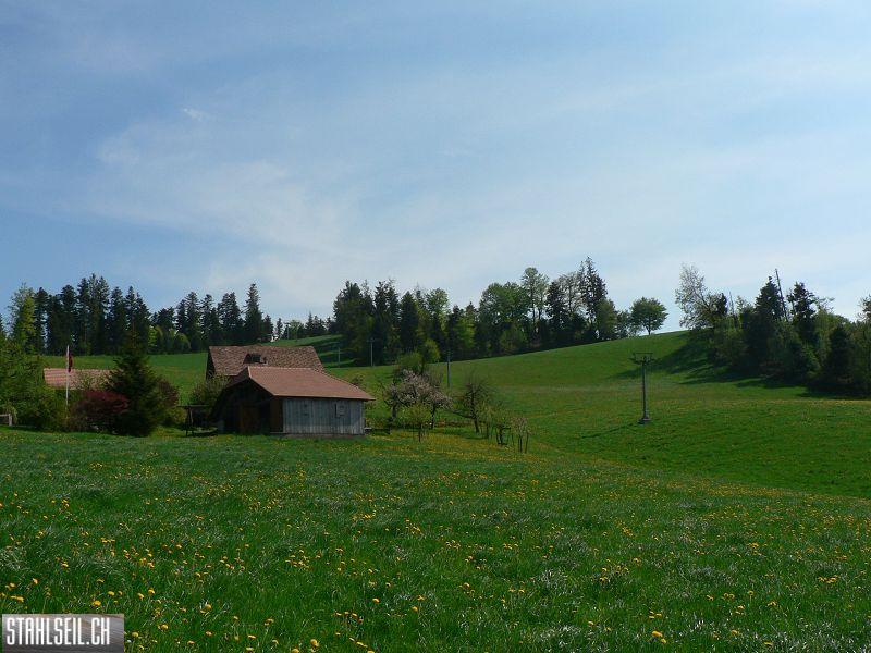 k-P1680696.JPG