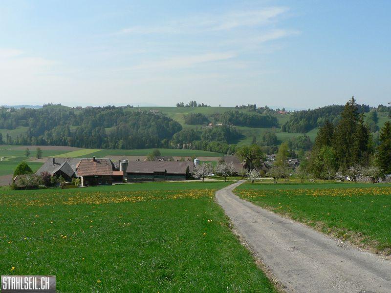 k-P1680698.JPG