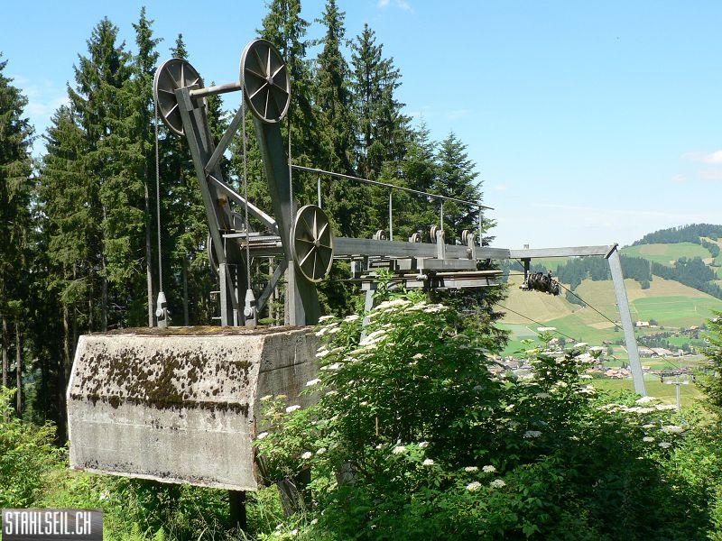 k-P1710176.JPG