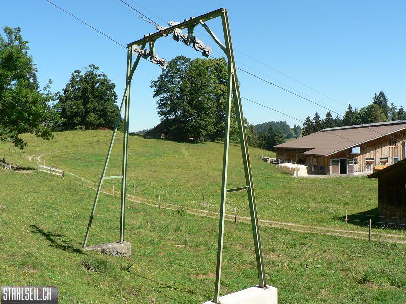 k-P1710006.JPG
