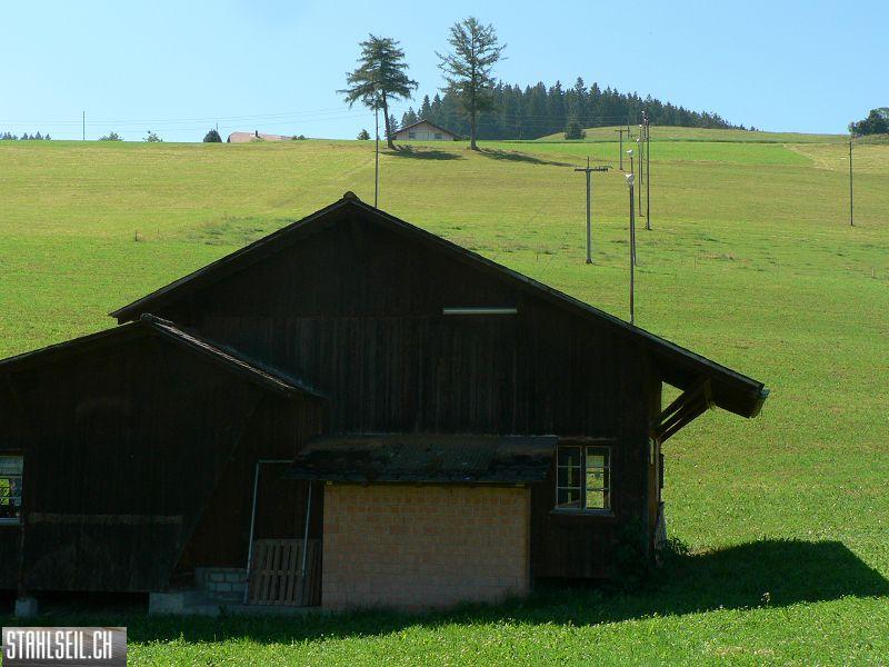 k-P1710074.JPG