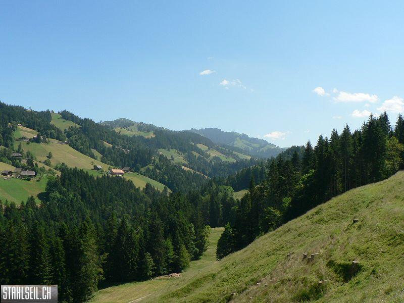 k-P1710075.JPG