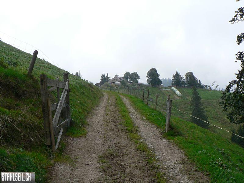 k-P1750312.JPG