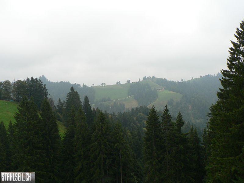 k-P1750313.JPG