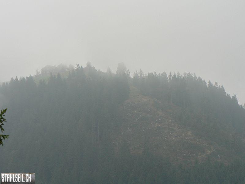 k-P1750321.JPG