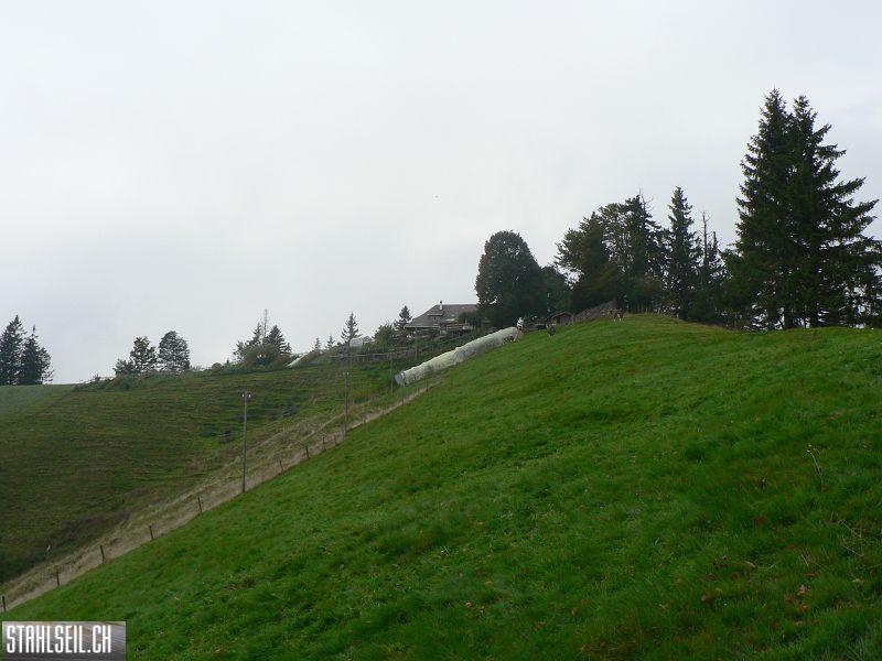 k-P1750366.JPG