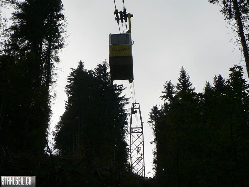 k-P1750429.JPG