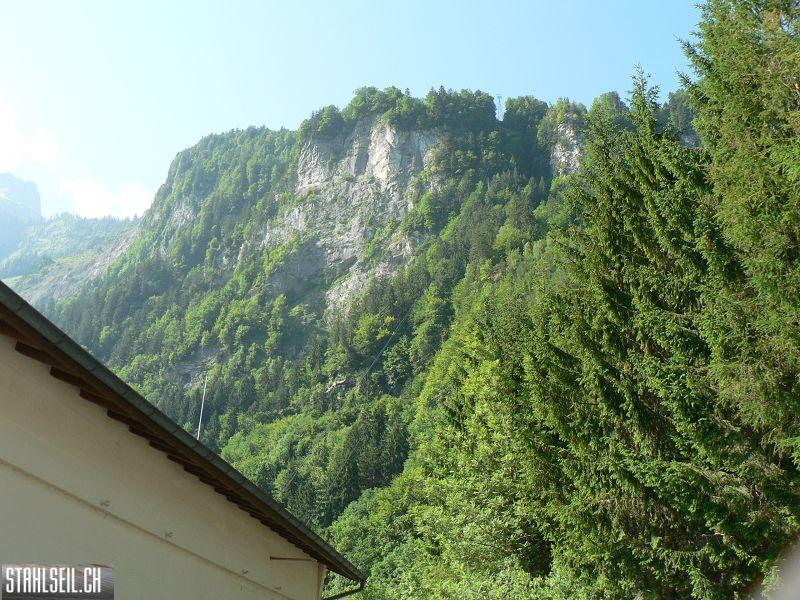 k-P1700248.JPG