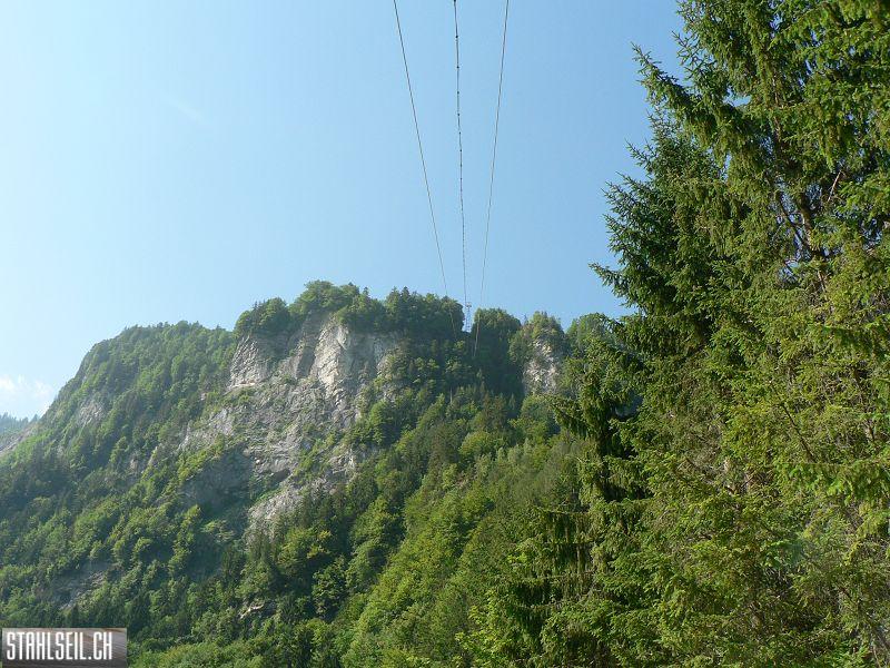 k-P1700252.JPG