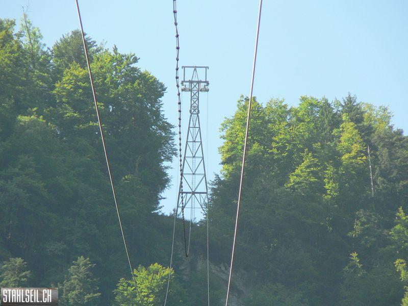 k-P1700253.JPG