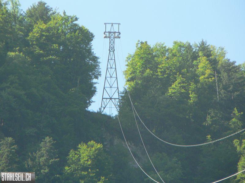 k-P1700261.JPG
