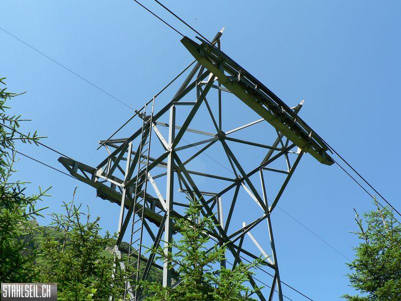 k-P1360113.JPG