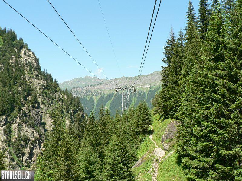 k-P1360160.JPG