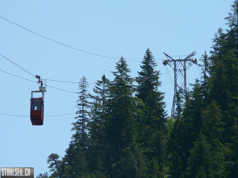 k-P1360212.JPG