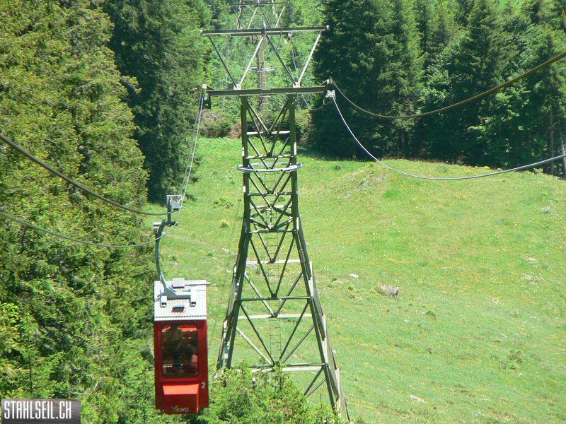 k-P1360316.JPG
