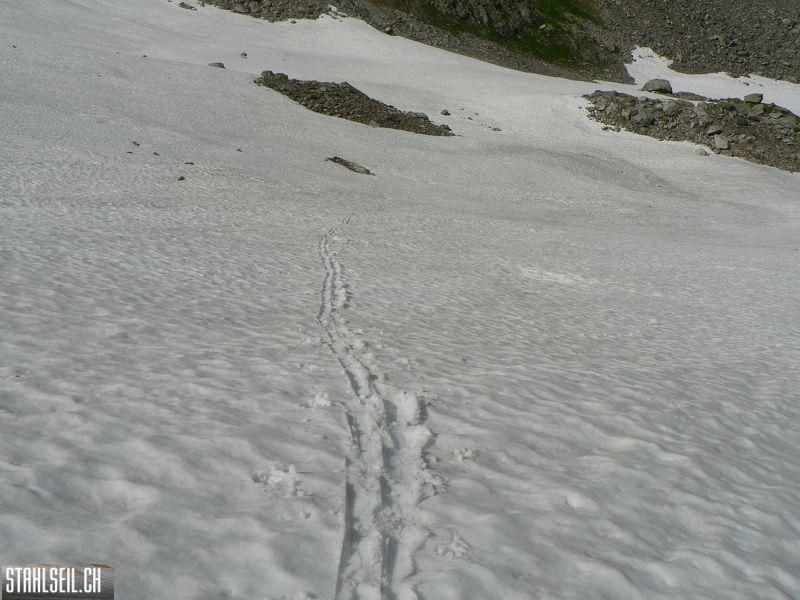 k-P1360460.JPG