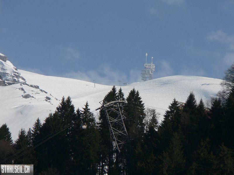 k-P1680057.JPG