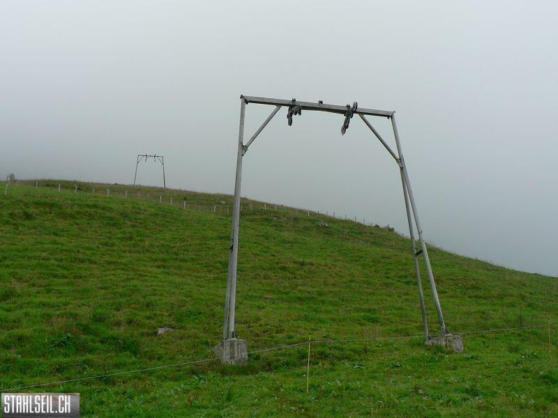 k-P1390629.JPG