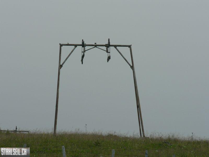 k-P1390631.JPG