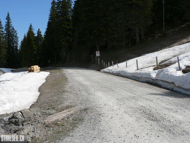 k-P1680451.JPG